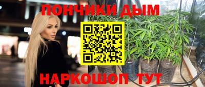 mdpv Боровичи