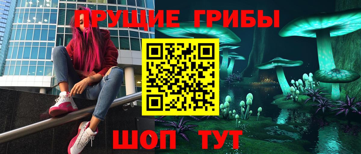 Псилоцибиновые грибы Psilocybine cubensis Ишимбай